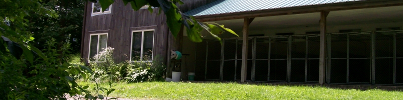 ny kennels
